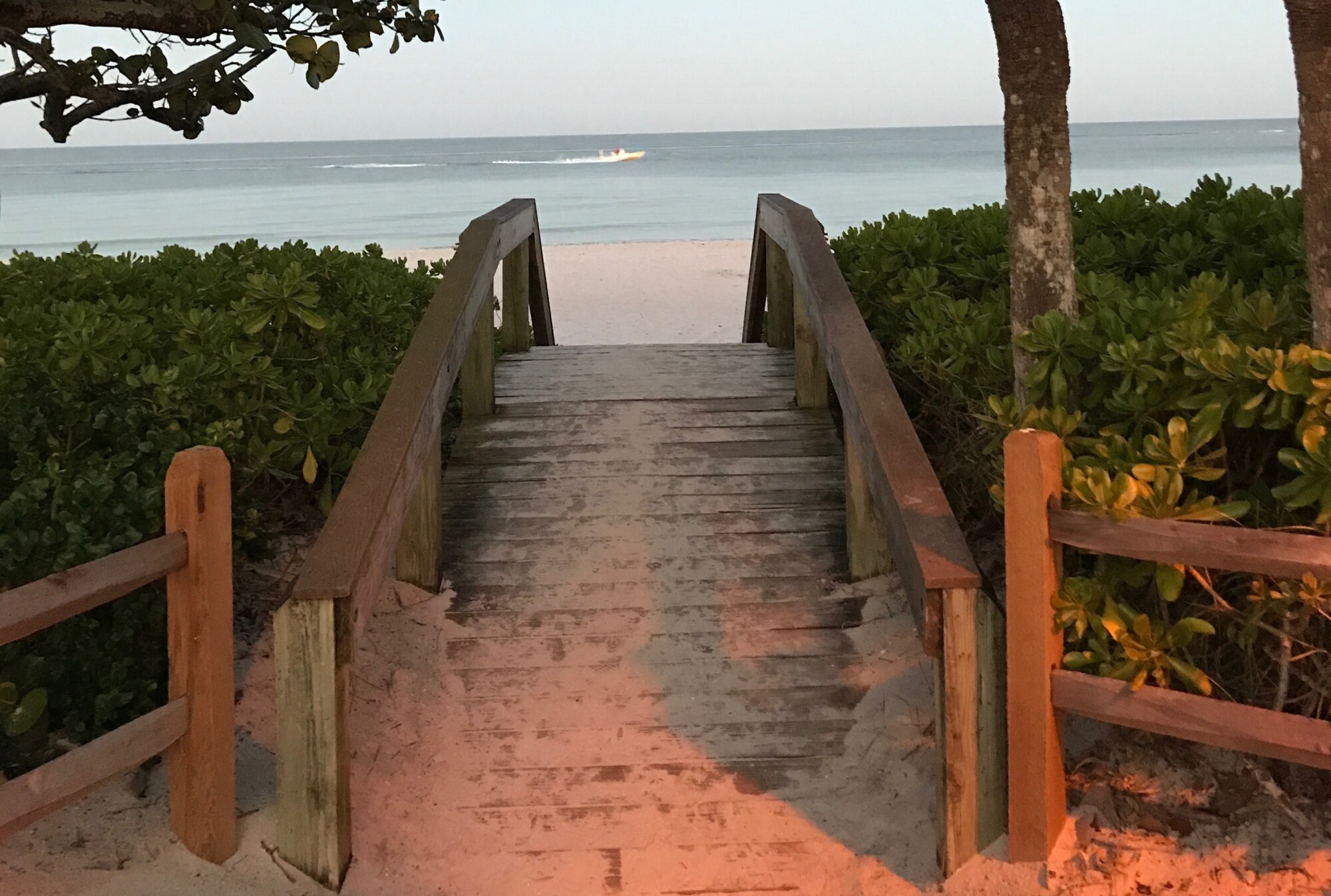 Enjoy peace of mind with quality home watch services.